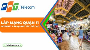 lắp mạng quận 11